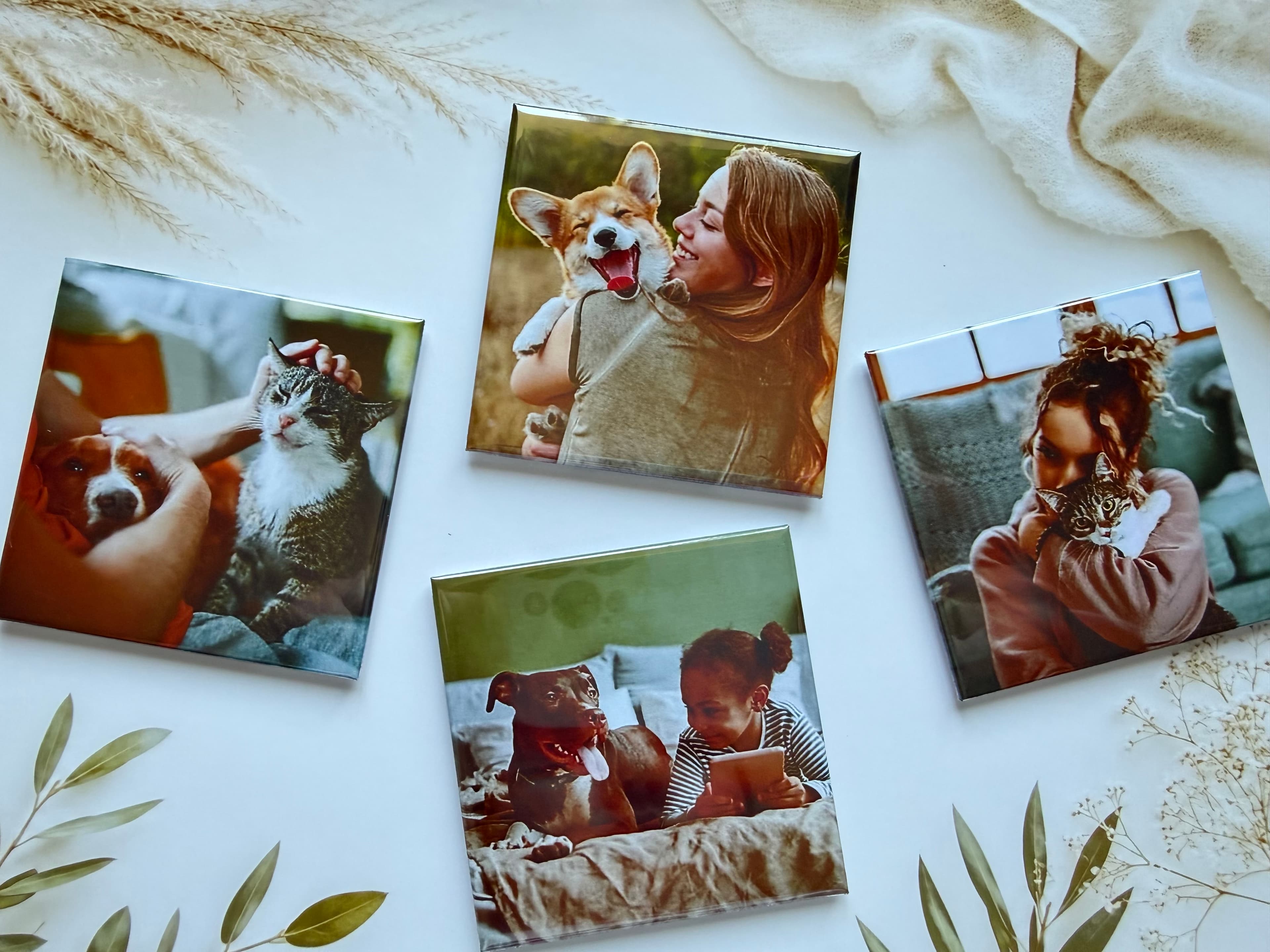 Memory Bundle- 4 Magnets 1